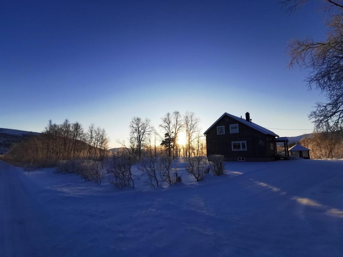 Elvestua Villa Gibostad ภายนอก รูปภาพ