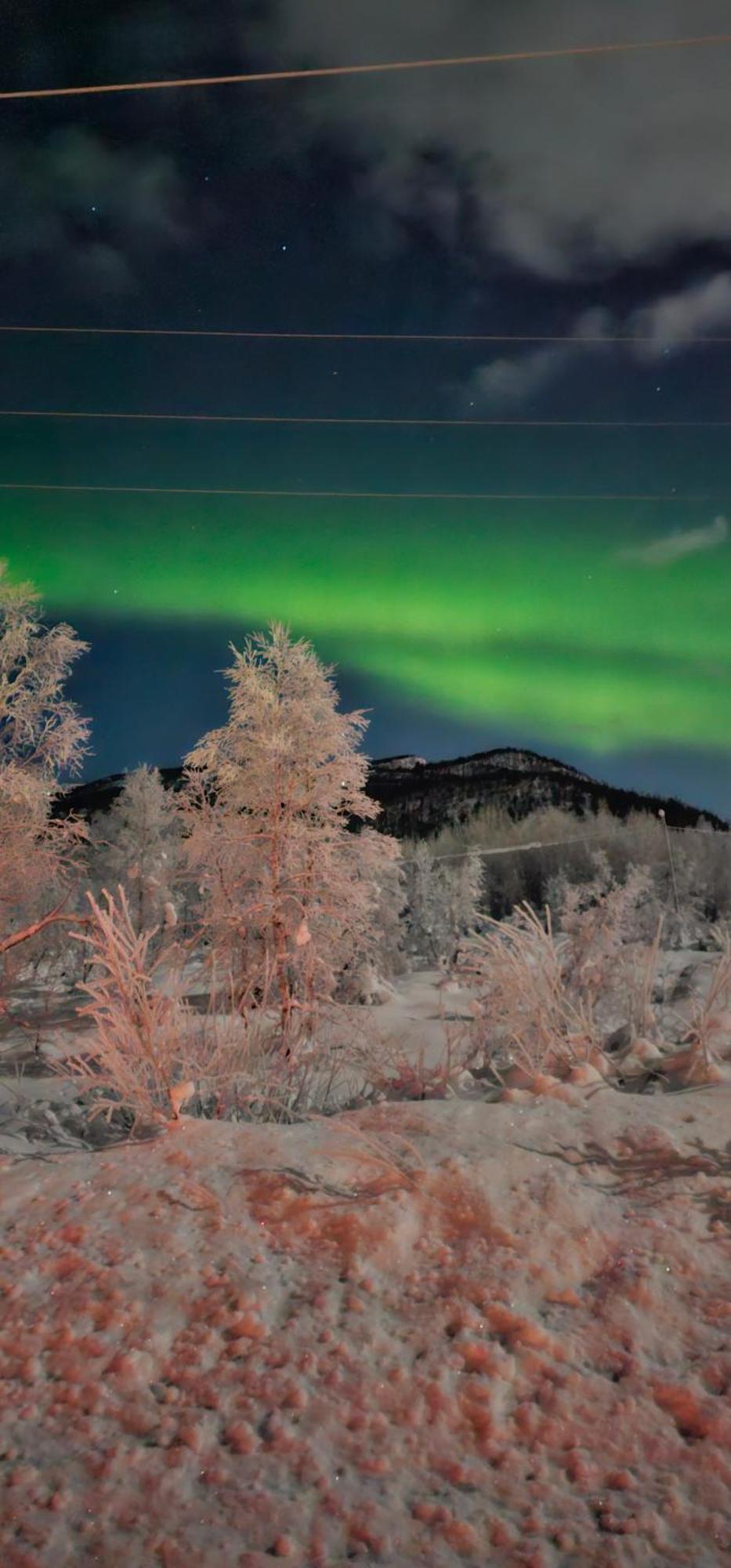 Elvestua Villa Gibostad ภายนอก รูปภาพ