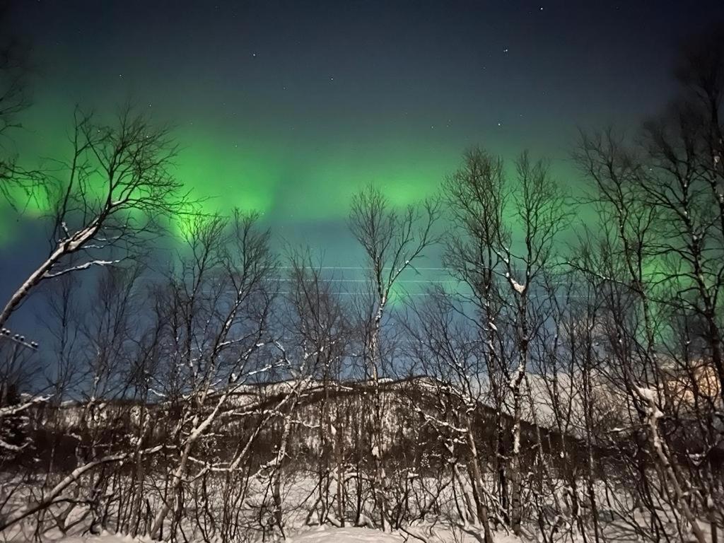 Elvestua Villa Gibostad ภายนอก รูปภาพ