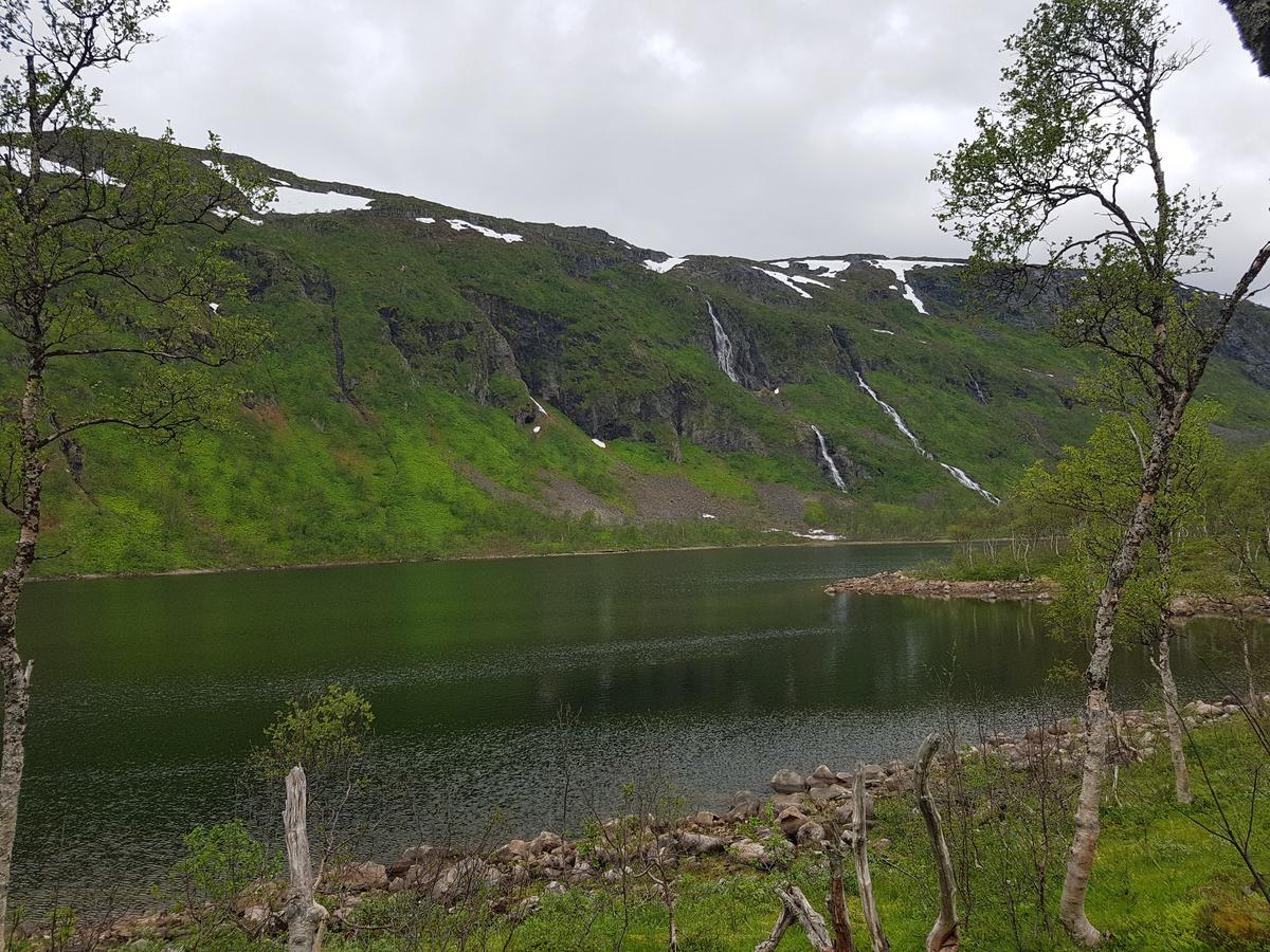 Elvestua Villa Gibostad ภายนอก รูปภาพ
