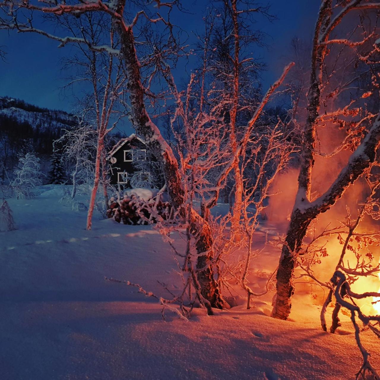Elvestua Villa Gibostad ภายนอก รูปภาพ