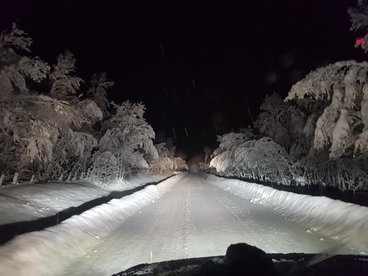 Elvestua Villa Gibostad ภายนอก รูปภาพ