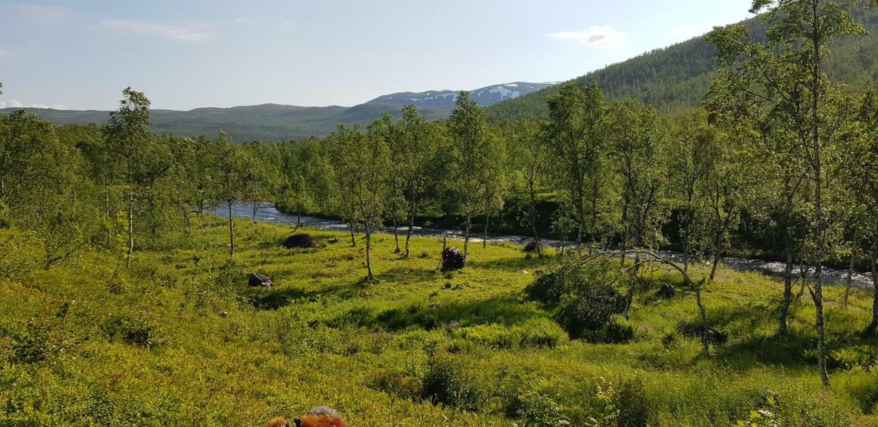 Elvestua Villa Gibostad ภายนอก รูปภาพ