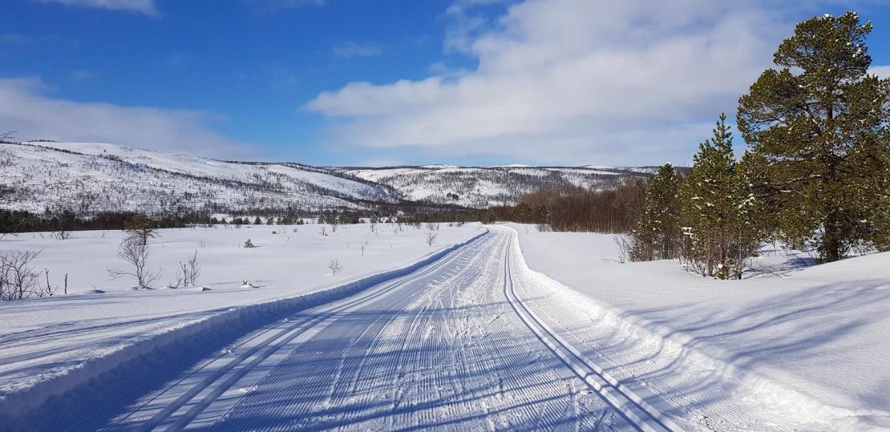 Elvestua Villa Gibostad ภายนอก รูปภาพ
