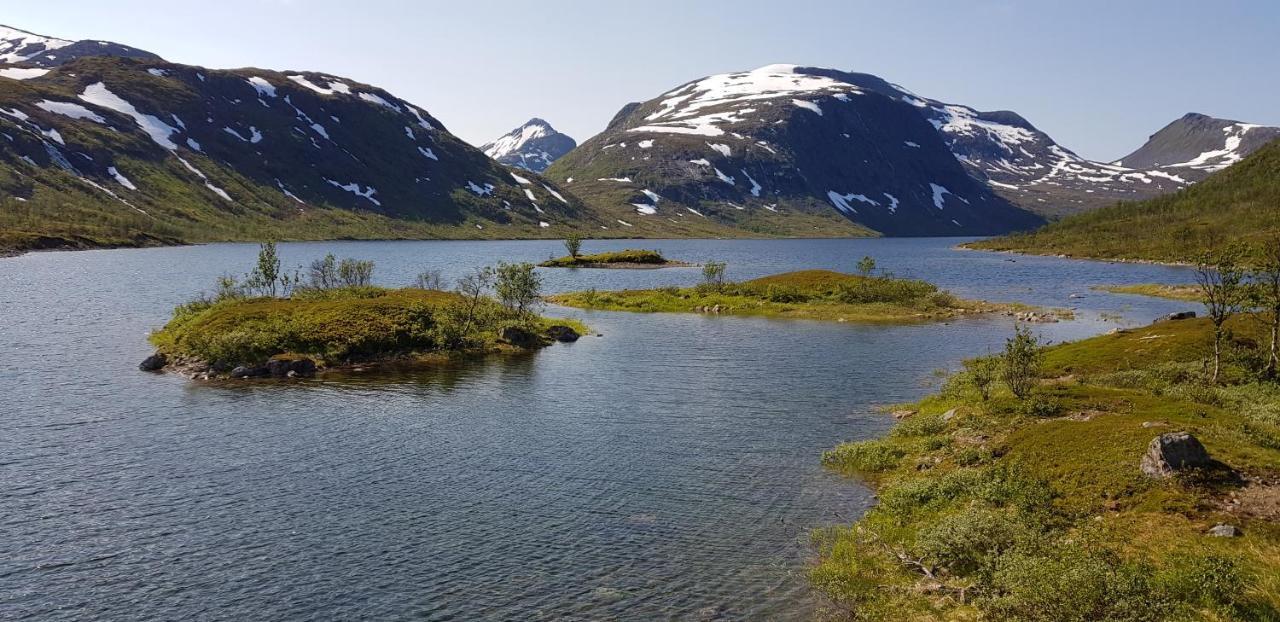 Elvestua Villa Gibostad ภายนอก รูปภาพ