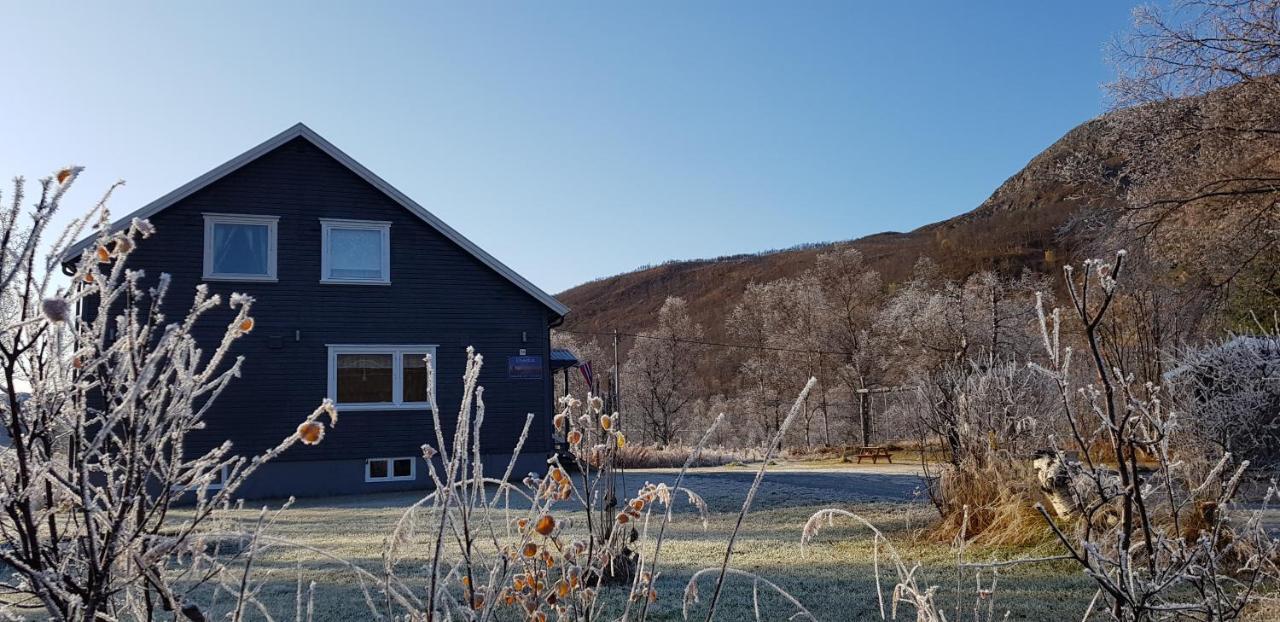 Elvestua Villa Gibostad ภายนอก รูปภาพ