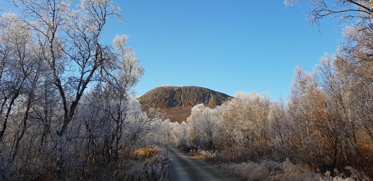 Elvestua Villa Gibostad ภายนอก รูปภาพ