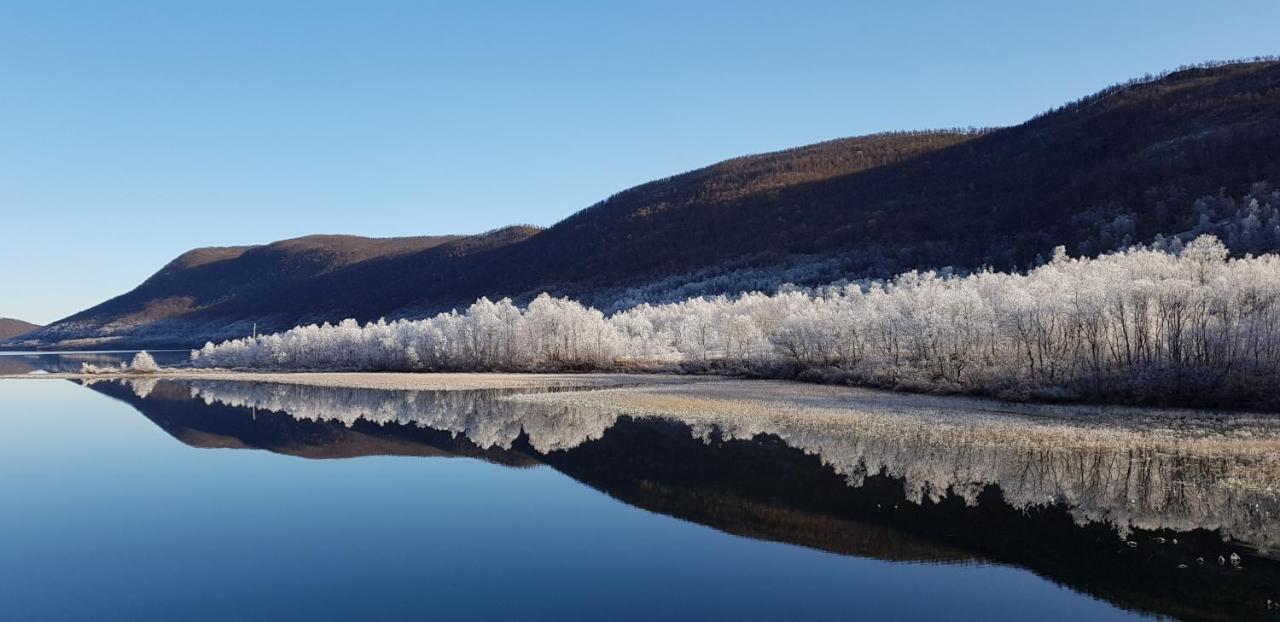 Elvestua Villa Gibostad ภายนอก รูปภาพ